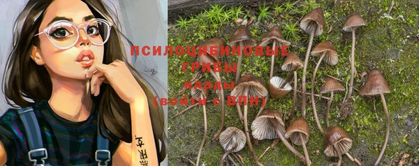 шишки Балабаново