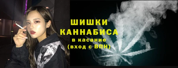 шишки Балабаново