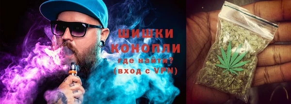 шишки Балабаново